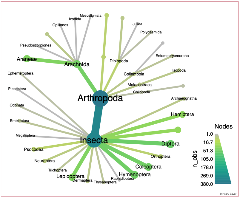 Class/oder spoke chart for Arthropoda