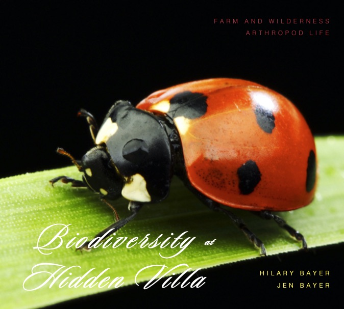 Cover of Biodiversity Hidden Villa book