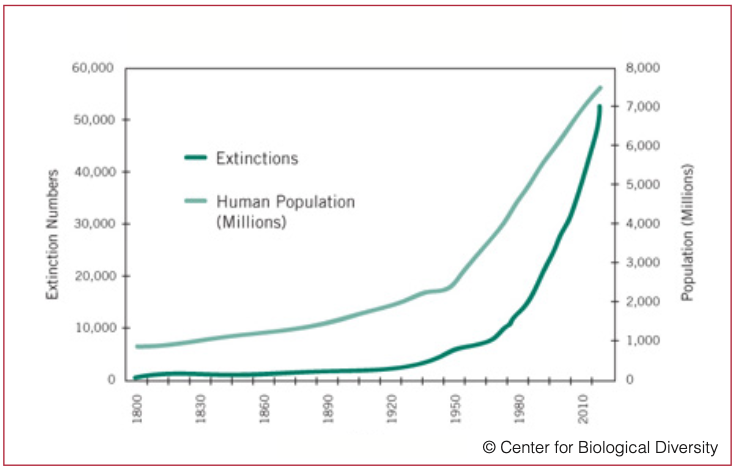 Graph showing corresponding trends of human population growth and species extinction